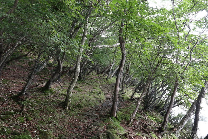 赤城山　小沼の絶景スポット写真（4）