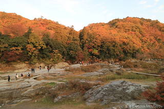 長瀞岩畳の絶景スポット写真（5）class=