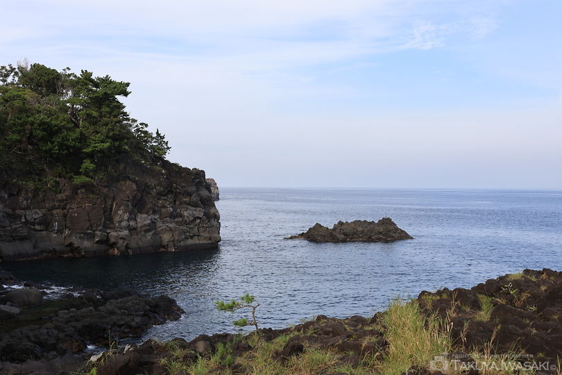 城ヶ崎海岸の絶景スポット写真（1）