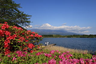 田貫湖の絶景スポット写真（4）class=