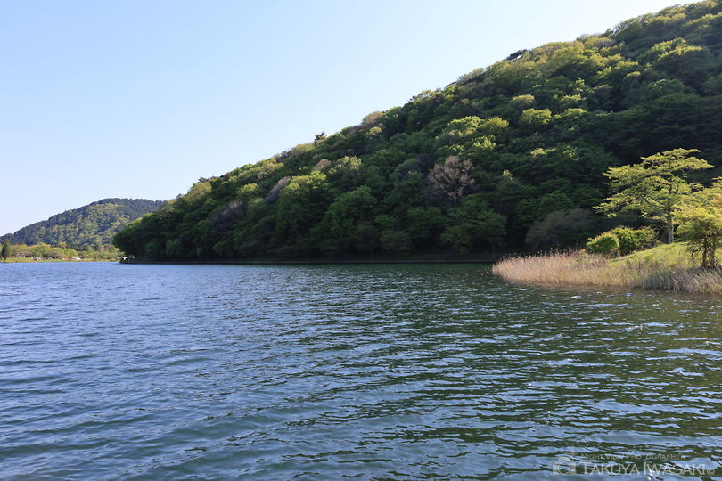 田貫湖の絶景スポット写真（5）