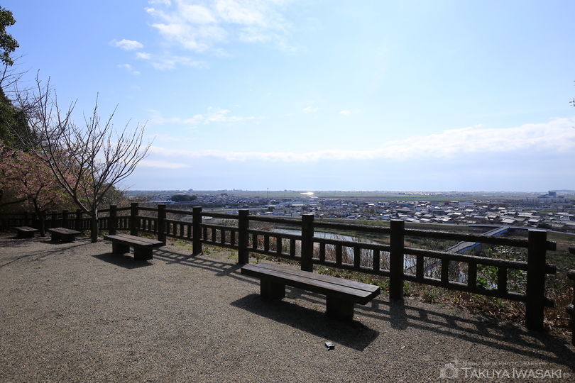 高岡城跡公園の絶景スポット写真（4）