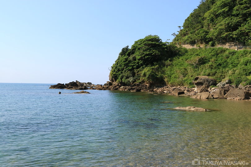 青井浜わんわんビーチの絶景スポット写真（2）