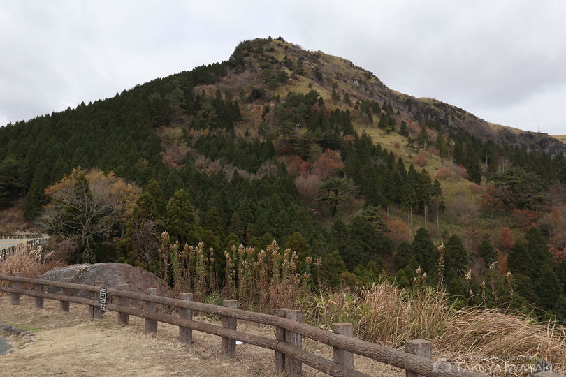 フォトスポットとるぱ 山田パーキングの絶景スポット写真（3）