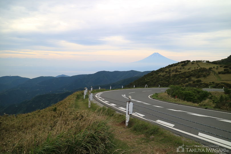 達磨山の絶景スポット写真（1）