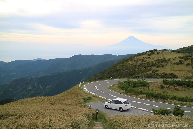 達磨山の絶景スポット写真（2）