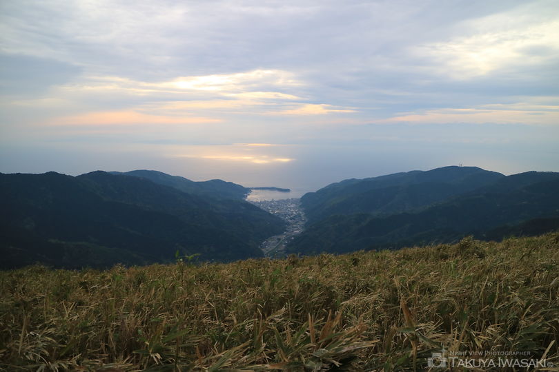 達磨山の絶景スポット写真（3）