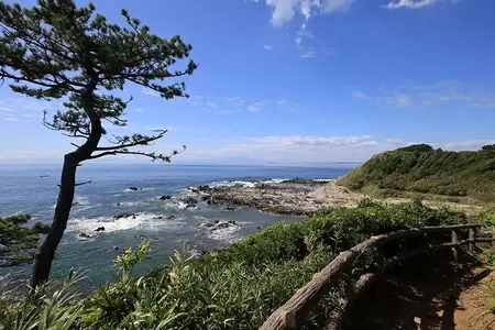 荒崎公園　潮風の丘の絶景