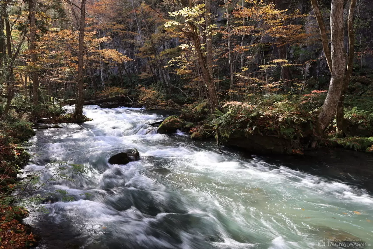 下馬門沢の流れ・奥入瀬渓流の絶景・風景スポット情報（青森県十和田市）