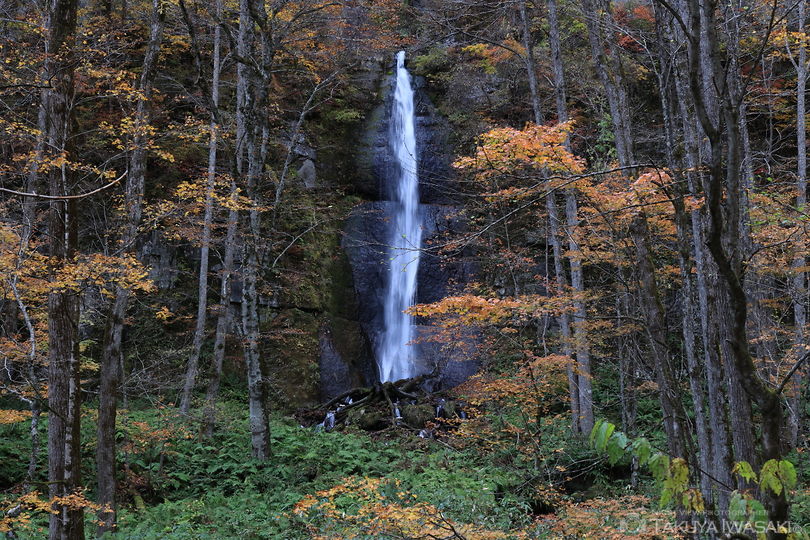 白布の滝の絶景スポット写真（1）