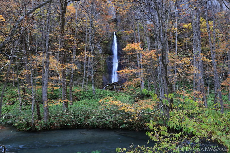 白布の滝の絶景スポット写真（2）