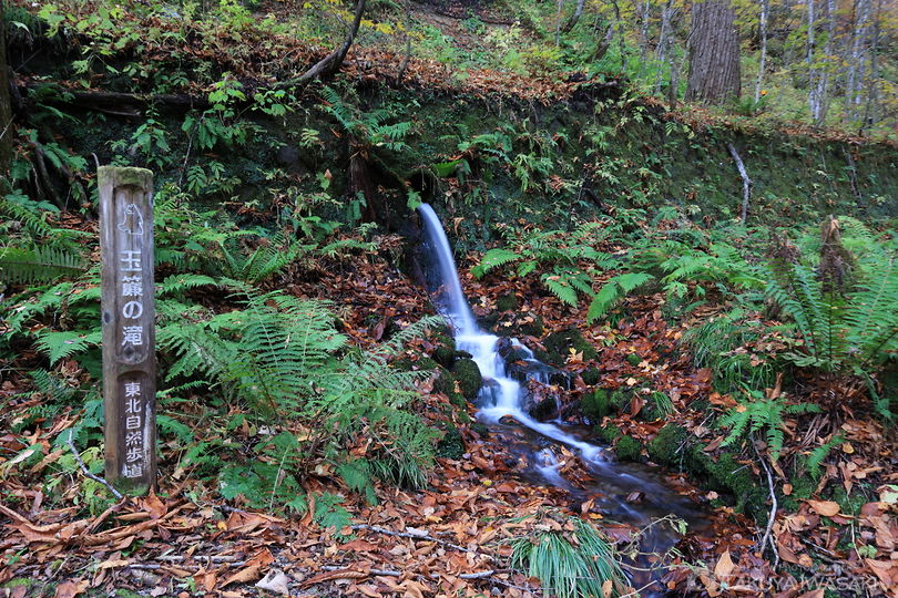玉簾の滝の絶景スポット写真（5）