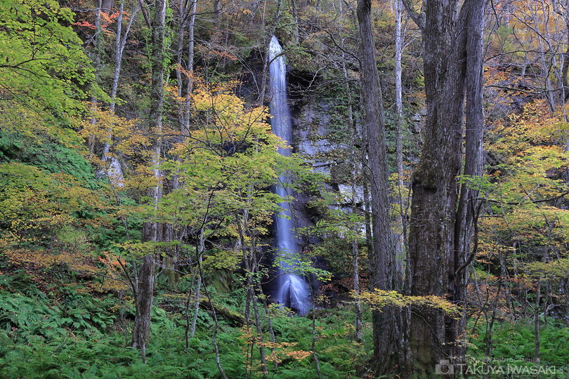 白糸の滝の絶景スポット写真（1）