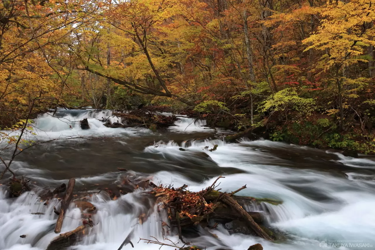 万両の流れ・奥入瀬渓流の絶景・風景スポット情報（青森県十和田市）