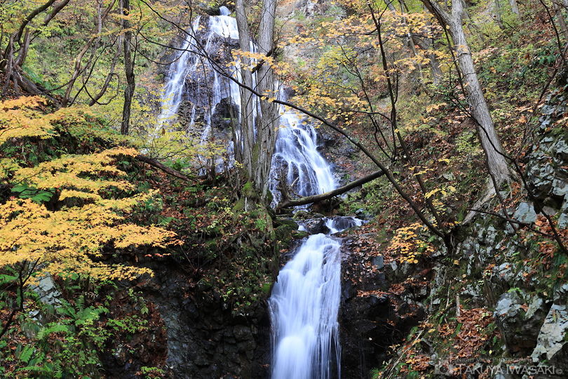 小根津戸の雄滝の絶景スポット写真（3）
