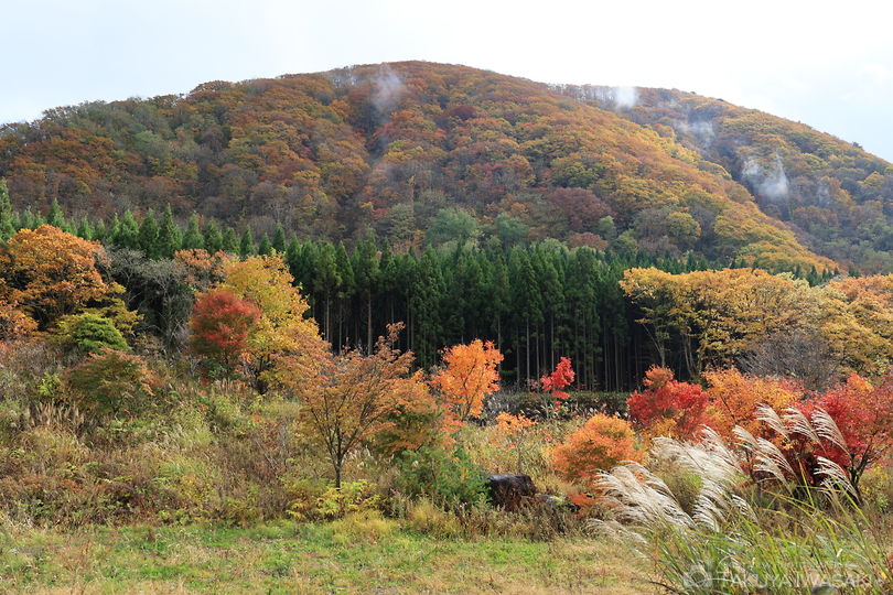 小根津戸の雄滝の絶景スポット写真（6）