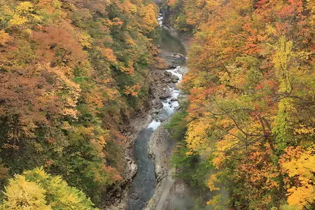 河原湯橋の夜景