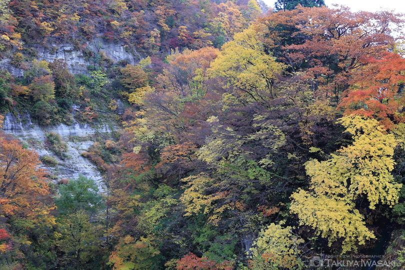三途川渓谷の絶景スポット写真（3）