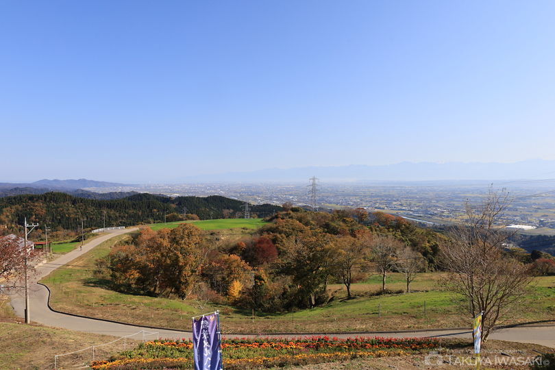 稲葉山 山頂展望台の絶景スポット写真（1）