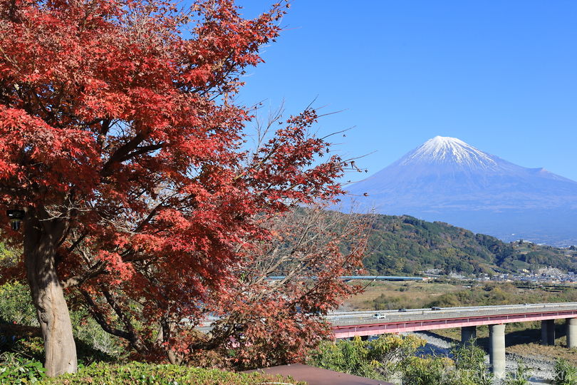 富士川SA（下り）の絶景スポット写真（5）