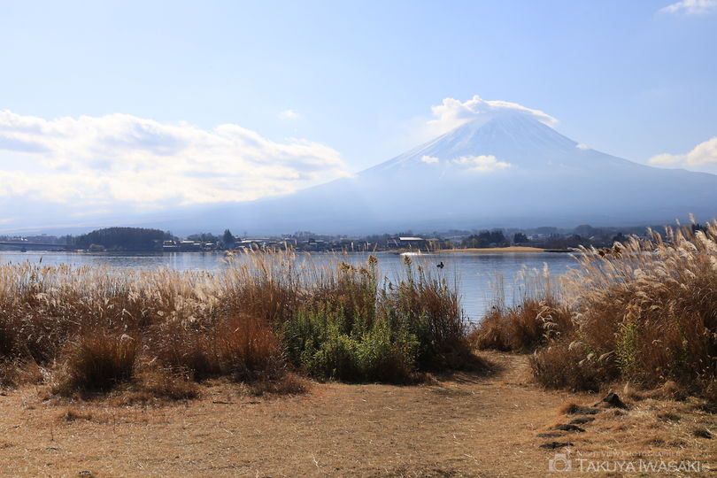 河口湖・長崎公園の絶景スポット写真（3）