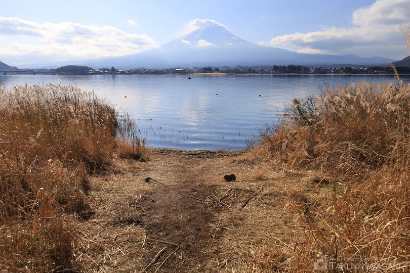 河口湖・長崎公園の絶景スポット写真（4）