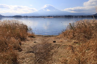 河口湖・長崎公園の絶景スポット写真（4）class=