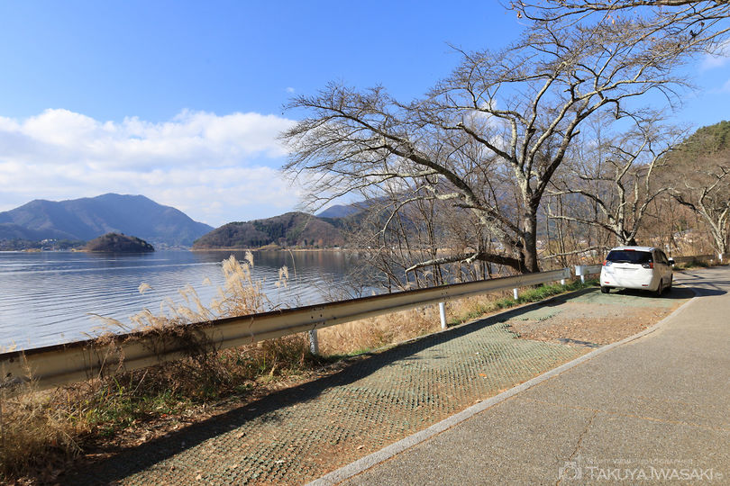 河口湖・長崎公園の絶景スポット写真（5）