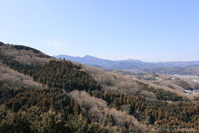 仙元山見晴らしの丘公園の絶景スポット写真（3）