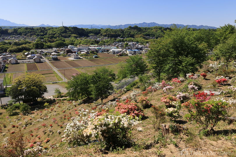 花咲山公園の絶景スポット写真（3）