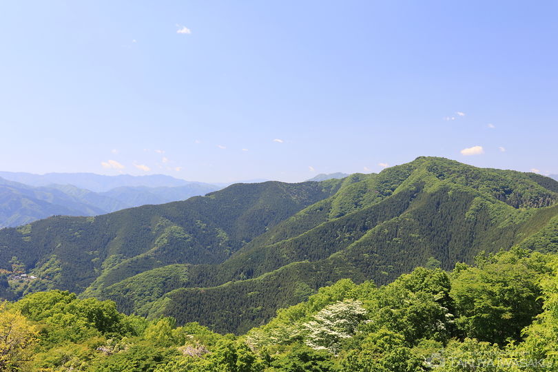 陣馬山の絶景スポット写真（2）
