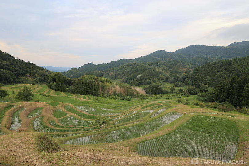 大山千枚田の絶景スポット写真（2）