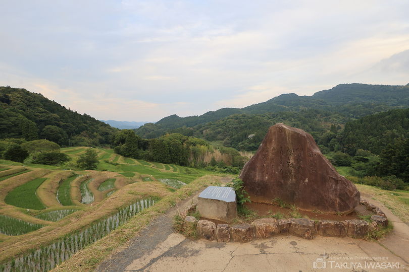 大山千枚田の絶景スポット写真（4）
